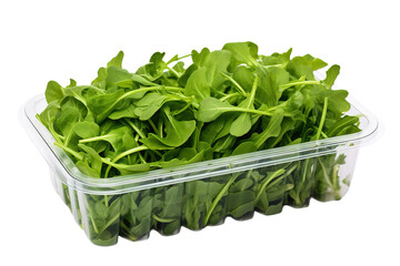 Lush Harvest in a Container on White or PNG Transparent Background.