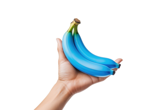 The Enchanted Hand With Blue and Green Banana on White or PNG Transparent Background.