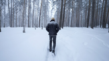 Stylish young man walking in winter forest. Media. Rear view of man walking in winter forest....