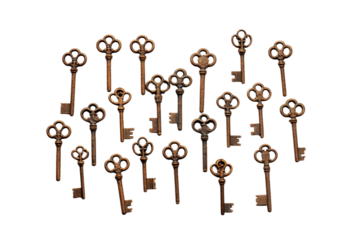 The Symphony of Forgotten Memories on White or PNG Transparent Background.