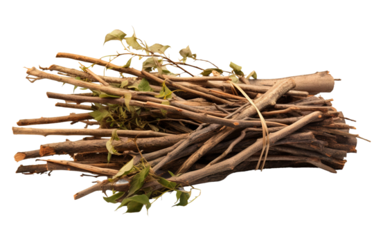 Whimsical Dancing Forest Wands on White or PNG Transparent Background.