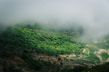 伊吹山