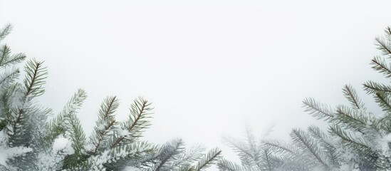 A copy space image of snow dusted evergreen branches framing the left border on a white background