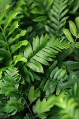A close up of green leaves on a plant. The leaves are large and leafy, and the plant is full and lush. Concept of growth and vitality, as the leaves are healthy and thriving
