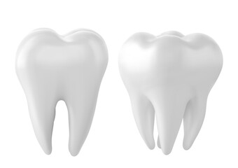 Dental model of a tooth, illustration as a concept of dental examination of teeth, dental health and hygiene.