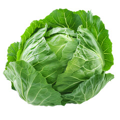 Obraz premium A large green cabbage isolated on white or transparent background, png clipart, design element. Easy to place object on any other background.