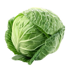 Fototapeta premium A large green cabbage isolated on white or transparent background, png clipart, design element. Easy to place object on any other background.