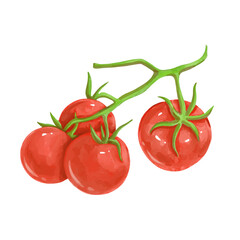 Juicy, ripe red tomato vegetable. Vector graphics.
