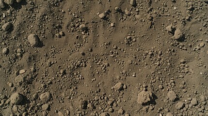  A close-up of a dirt surface with rocks and dirt at the bottom of the image