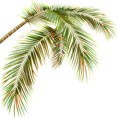 Naklejka premium palm tree
