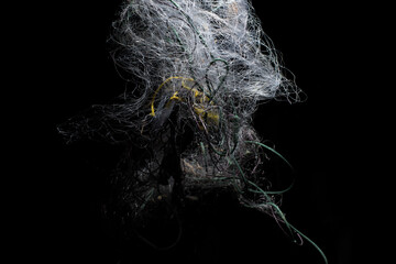 entanglement net for fish