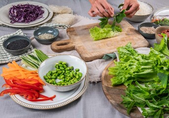 Sommerrollen, vietnamesische Küche, frisch vegan kochen
