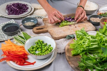 Sommerrollen, vietnamesische Küche, frisch vegan kochen
