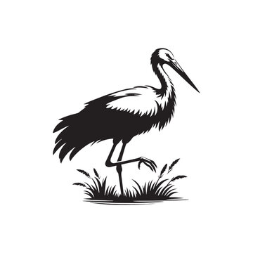 black and white stork standing in grass clip art preview