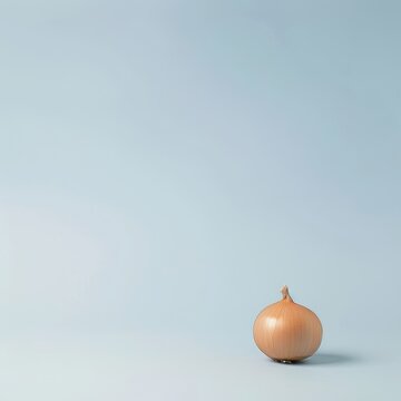 The golden bulb of the ripe onion is isolated on a white background.