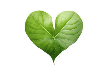 Verdant Love: A Heart-Shaped Leaf Embraces Purity on White or PNG Transparent Background.