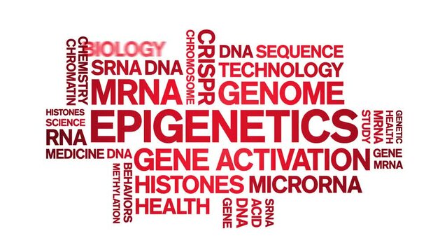 Epigenetics animated word cloud;text design animation tag kinetic typography seamless loop.