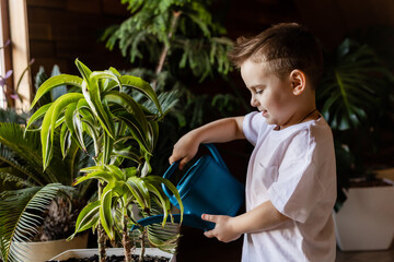 little boy is watering flowers at home