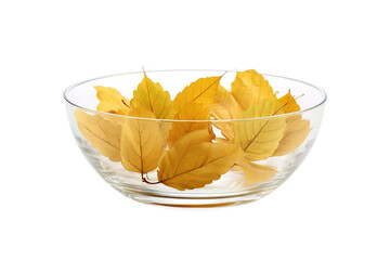 Autumn Elegance: A Glass Bowl Brimming With Golden Leaves on White or PNG Transparent Background.