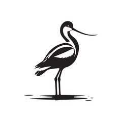 Avocet Vector Silhouette: Black Vector of an Avocet, Exuding Elegance in Coastal Ambiance- Avocet Illustration.