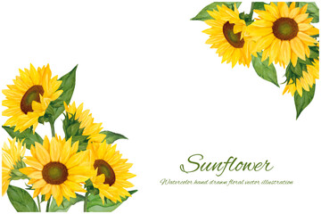 水彩で描いたひまわりの背景素材