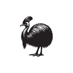 Cassowary Vector Silhouette: Black Vector Silhouette of a Cassowary, Symbolizing Strength and Majesty in Nature- Cassowary Illustration.