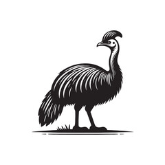 Cassowary Vector Silhouette: Black Vector Silhouette of a Cassowary, Symbolizing Strength and Majesty in Nature- Cassowary Illustration.
