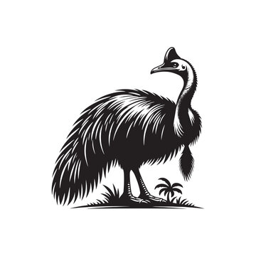 recommend clip art: Cassowary Vector Silhouette: Black Vector Silhouette of a Cassowary, Symbolizing Strength and Majesty in Nature- Cassowary Illustration.