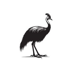 Cassowary Vector Silhouette: Black Vector Silhouette of a Cassowary, Symbolizing Strength and Majesty in Nature- Cassowary Illustration.