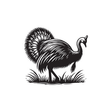 recommend clip art: Cassowary Vector Silhouette: Black Vector Silhouette of a Cassowary, Symbolizing Strength and Majesty in Nature- Cassowary Illustration.