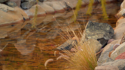 A picturesque stream, lined with stones.