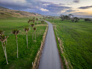 Quiet country road, farmland and Nikau Palm Trees at sunset in Karamea, West Coast, New Zealand.