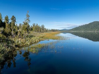 The calm mirror Lake Lanthe and forest, Harihari, West Coast, New Zealand.