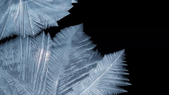 Natural ice pattern created from freezing soap bubble. Abstract winter and Christmas holidays background.