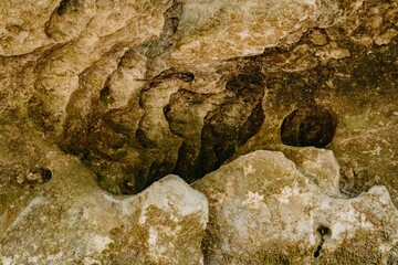 Limestone rock texture in the Opara Basin Arches, Karamea, West Coast, New Zealand.