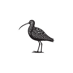 Black Vector Silhouette of a Curlew, Dancing Along the Shoreline in Elegance- Curlew Vector - Curlew Illustration.