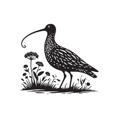 Black Vector Silhouette of a Curlew, Dancing Along the Shoreline in Elegance- Curlew Vector - Curlew Illustration.