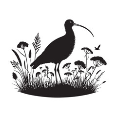 Black Vector Silhouette of a Curlew, Dancing Along the Shoreline in Elegance- Curlew Vector - Curlew Illustration.