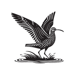 Black Vector Silhouette of a Curlew, Dancing Along the Shoreline in Elegance- Curlew Vector - Curlew Illustration.