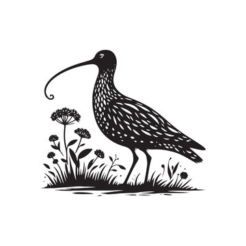 recommend clip art: Black Vector Silhouette of a Curlew, Dancing Along the Shoreline in Elegance- Curlew Vector - Curlew Illustration.