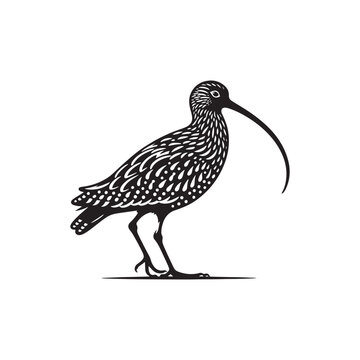 recommend clip art: Black Vector Silhouette of a Curlew, Dancing Along the Shoreline in Elegance- Curlew Vector - Curlew Illustration.