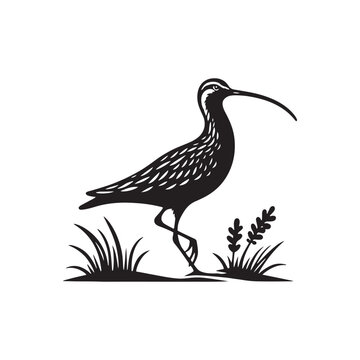 recommend clip art: Black Vector Silhouette of a Curlew, Dancing Along the Shoreline in Elegance- Curlew Vector - Curlew Illustration.