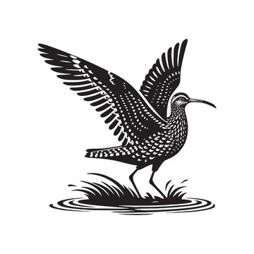 recommend clip art: Black Vector Silhouette of a Curlew, Dancing Along the Shoreline in Elegance- Curlew Vector - Curlew Illustration.