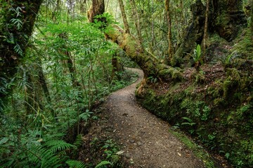 Opara Basin, Karamea, West Coast, New Zealand.