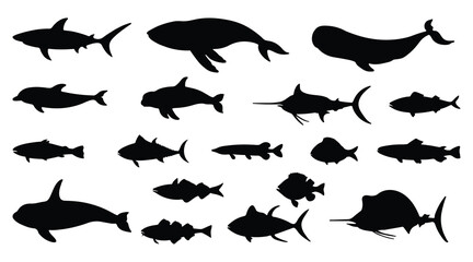Silhouette of sea fish. Group of sea fish, side view in white background. Vector illustration.