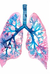 Watercolor image of a pair of lungs It has a structure similar to a tree. Revealing the complex beauty of the respiratory system