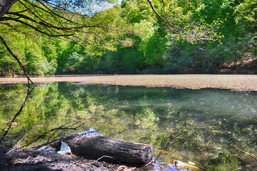 Beautiful lake and spring landscape in Seven Lakes, Yedigoller National Park Bolu, Turkey