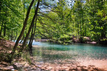 Beautiful lake and spring landscape in Seven Lakes, Yedigoller National Park Bolu, Turkey