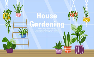 Vector glass greenhouse interior inside with house plants in pots. House gardening inner view illustration for landing page, banner
