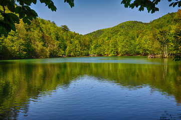 Beautiful lake and spring landscape in Seven Lakes, Yedigoller National Park Bolu, Turkey